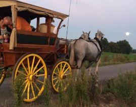 Ferienwohnungen "Am Mühlteich"